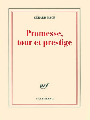 cover image of Promesse, tour et prestige